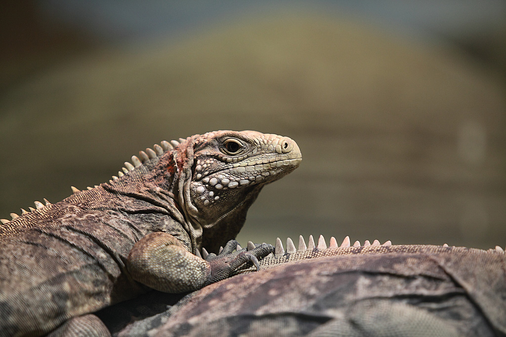 ���R���A����Ver3�@24