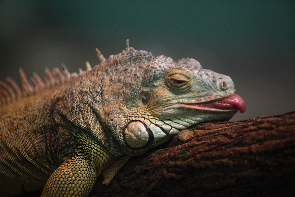 ���R���A����Ver3�@25