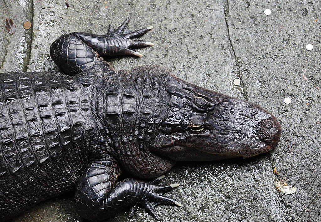 ���R���A����Ver3�@27