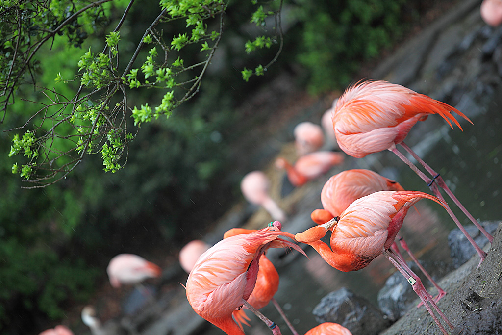 ���R���A����Ver3�@29