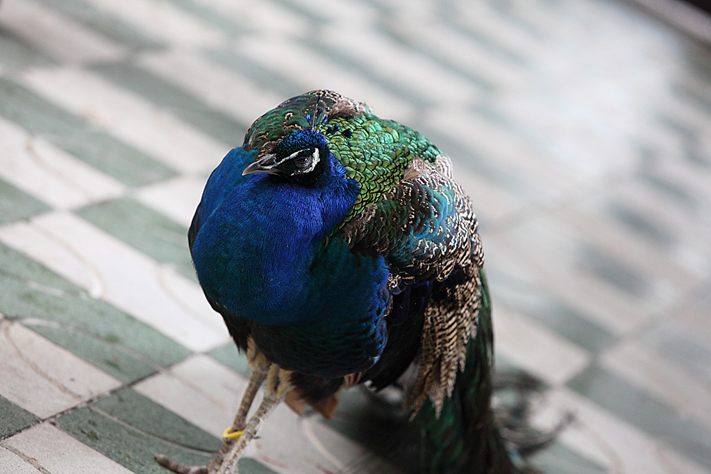 ���R���A����Ver3�@33