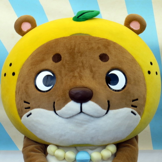 �ȁ[������