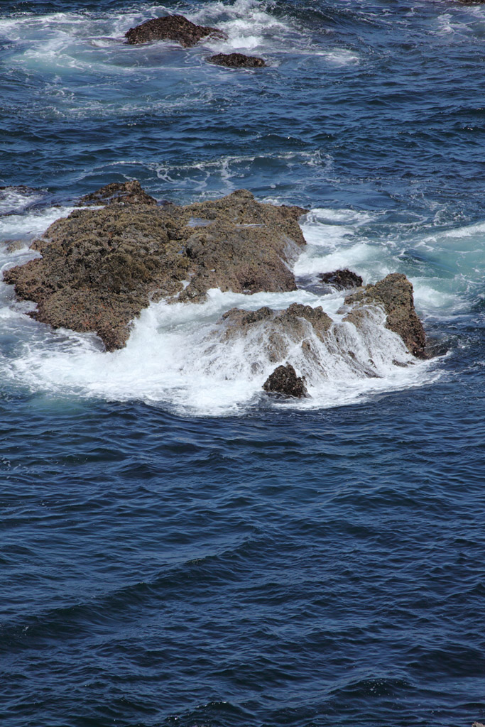 �ɐ��u�����H�ҁ@9