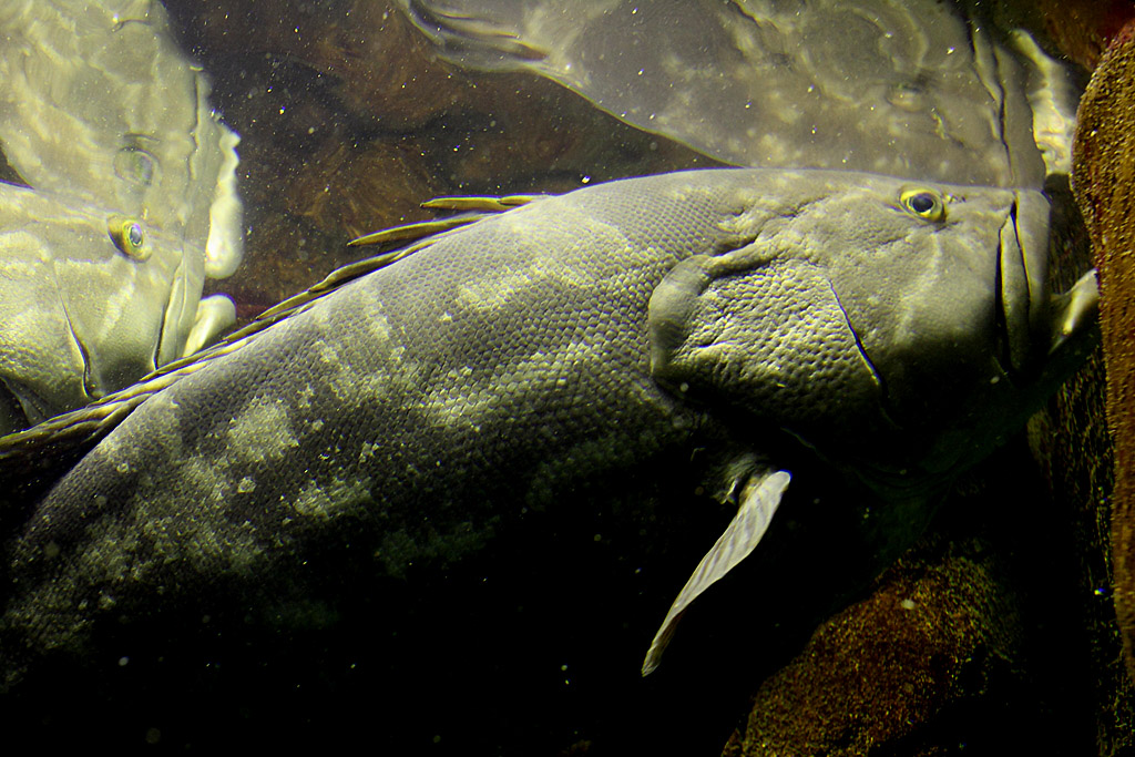 �ɐ��u�����H�ҁ@15