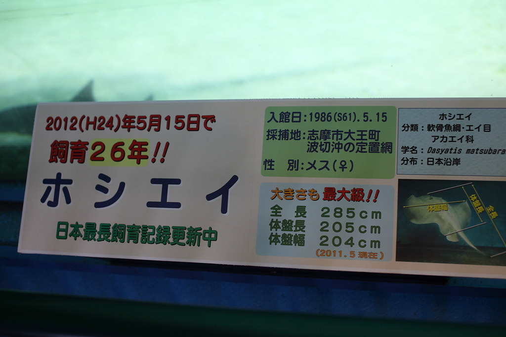 �ɐ��u�����H�ҁ@16