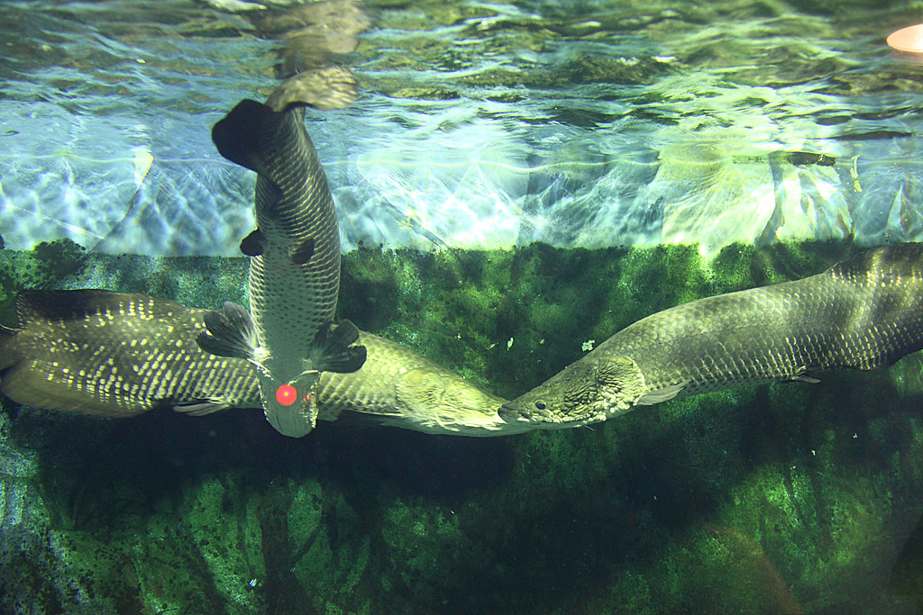 �ɐ��u�����H�ҁ@17