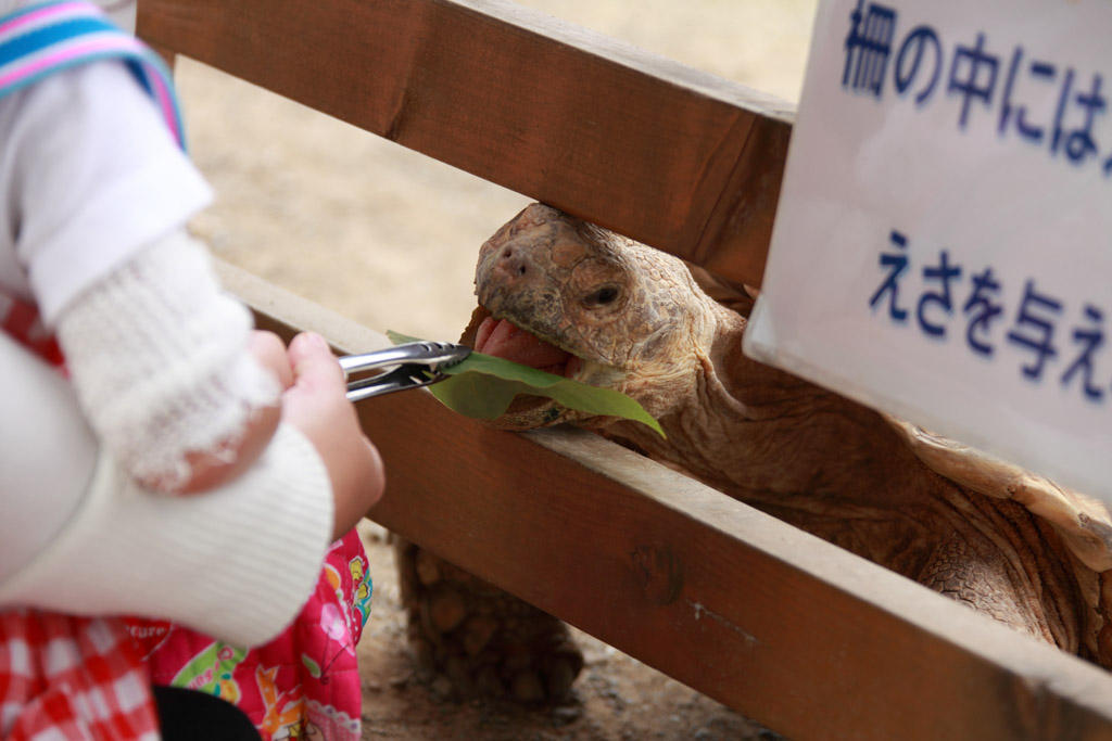 �ɐ��u�����H�ҁ@18