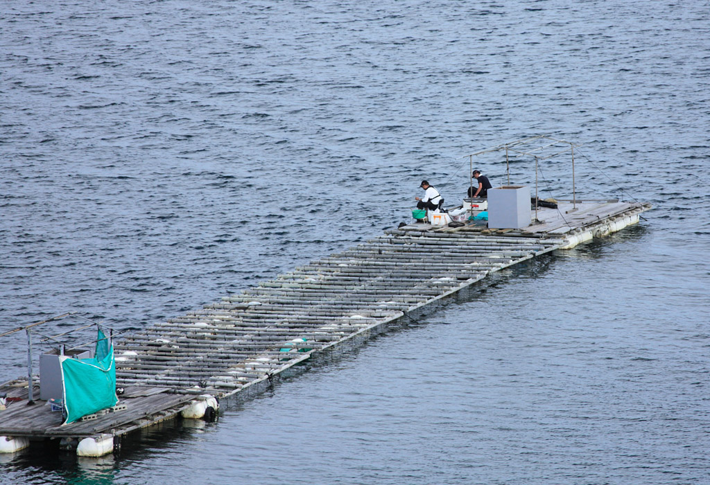 �ɐ��u�����H�ҁ@19