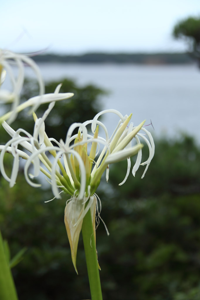 �ɐ��u�����H�ҁ@20