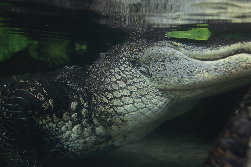 �ɐ��u�����H�ҁ@33