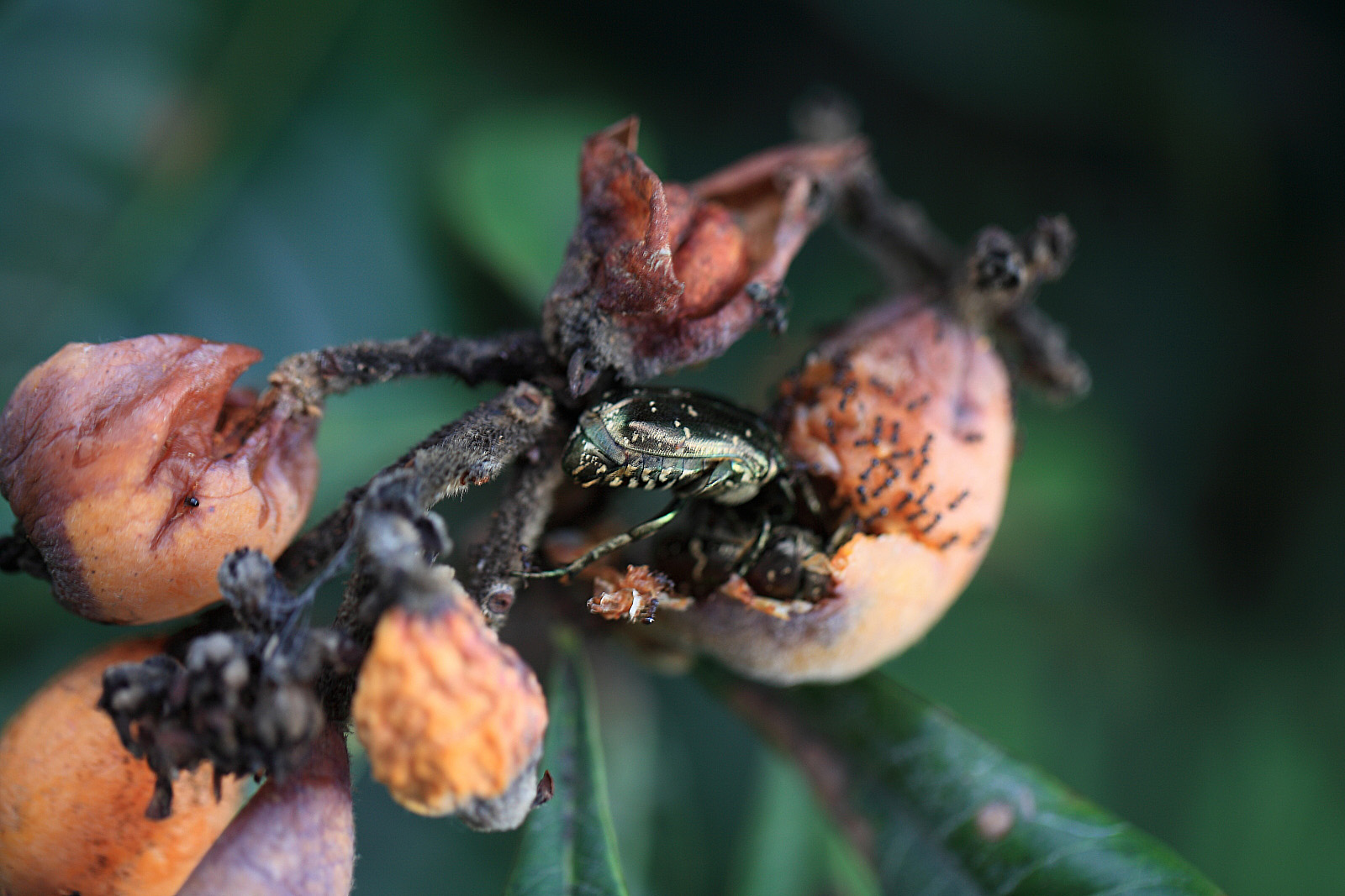 ������۶��11