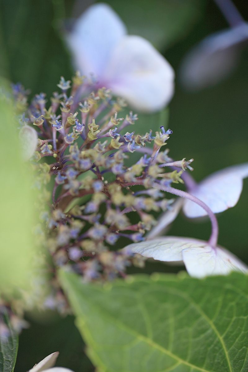 ������۶��13