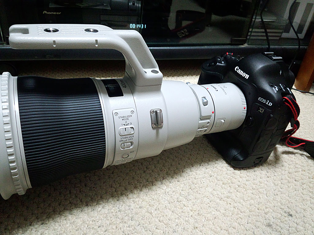 ������Ƌx�e�S