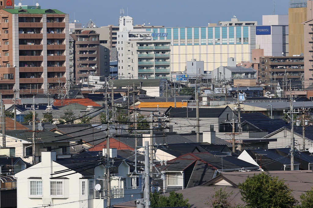 �����j�b�p�̎��͂Q