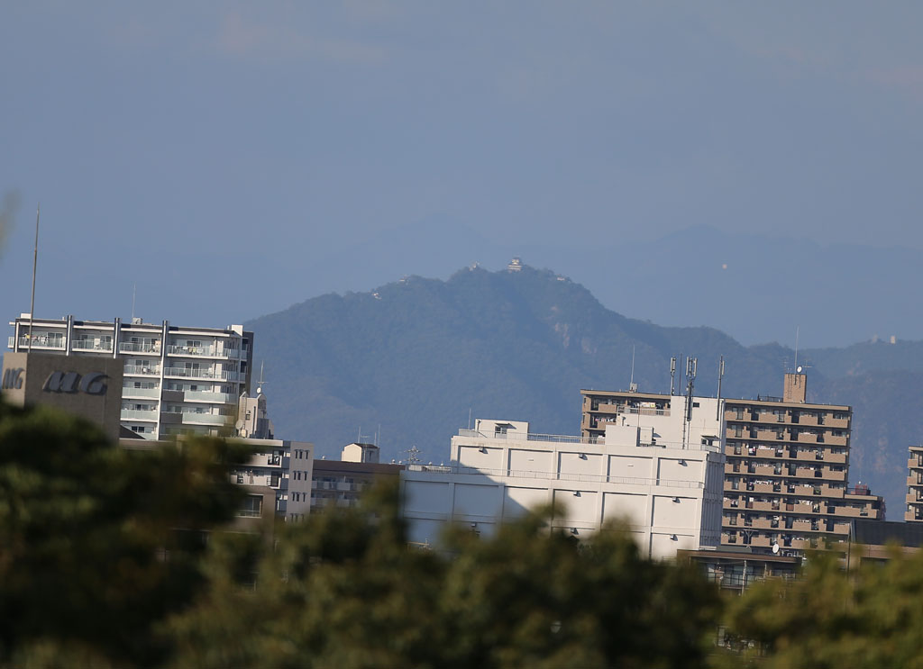 �����j�b�p�̎��͂R