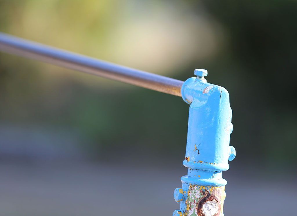 �����j�b�p�̎��͂U