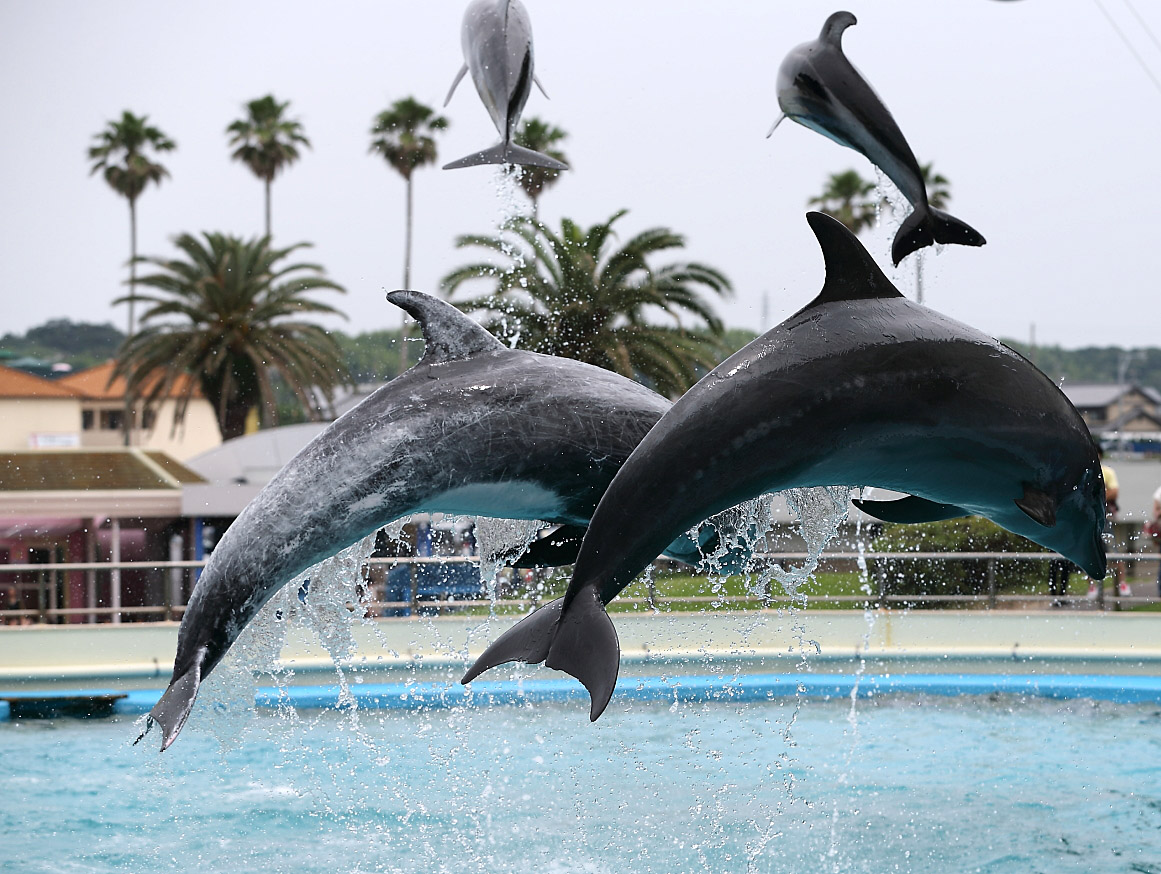 ��m���r�[�`�����h�@12