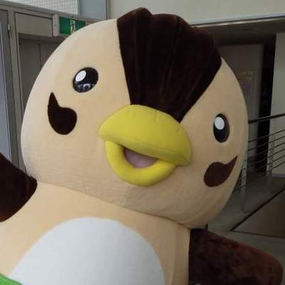 ����e�B�[