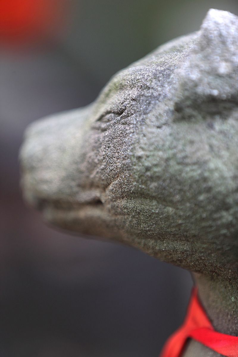 ��{���[�Ղ�2013-14