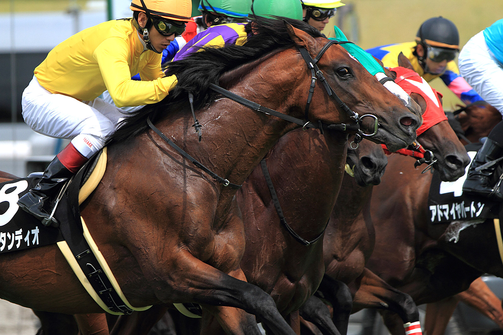 �������n��5