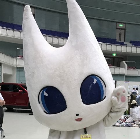 l^摜