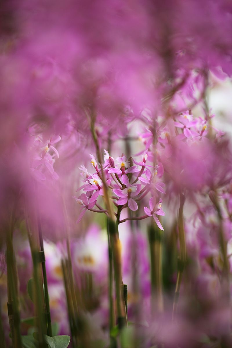 �U�A�}�N�����[���h13