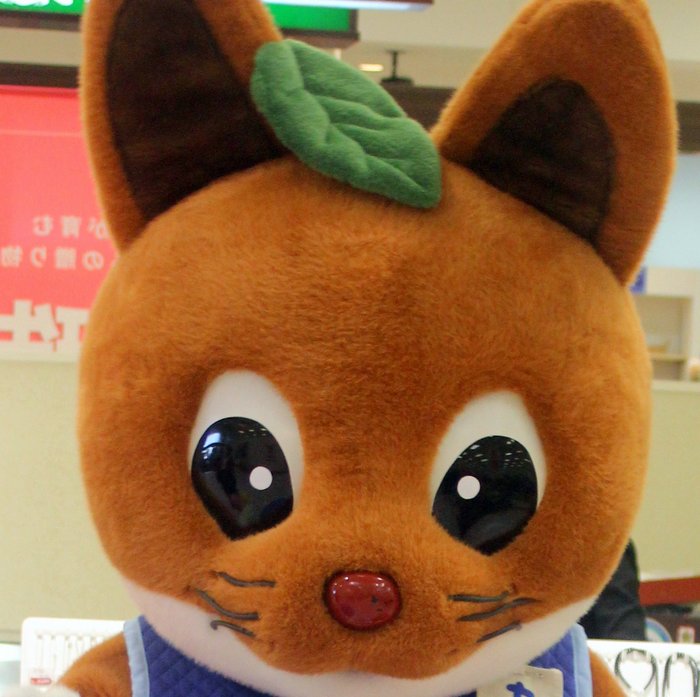 l^摜