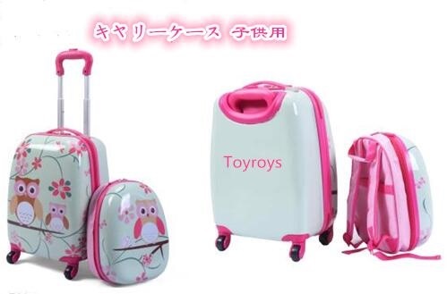 2019�N�l�C �L�����[�P�[�X �q���p ���s���΂�  ABS�f�� �a�����M�t�g �ʊw �����B