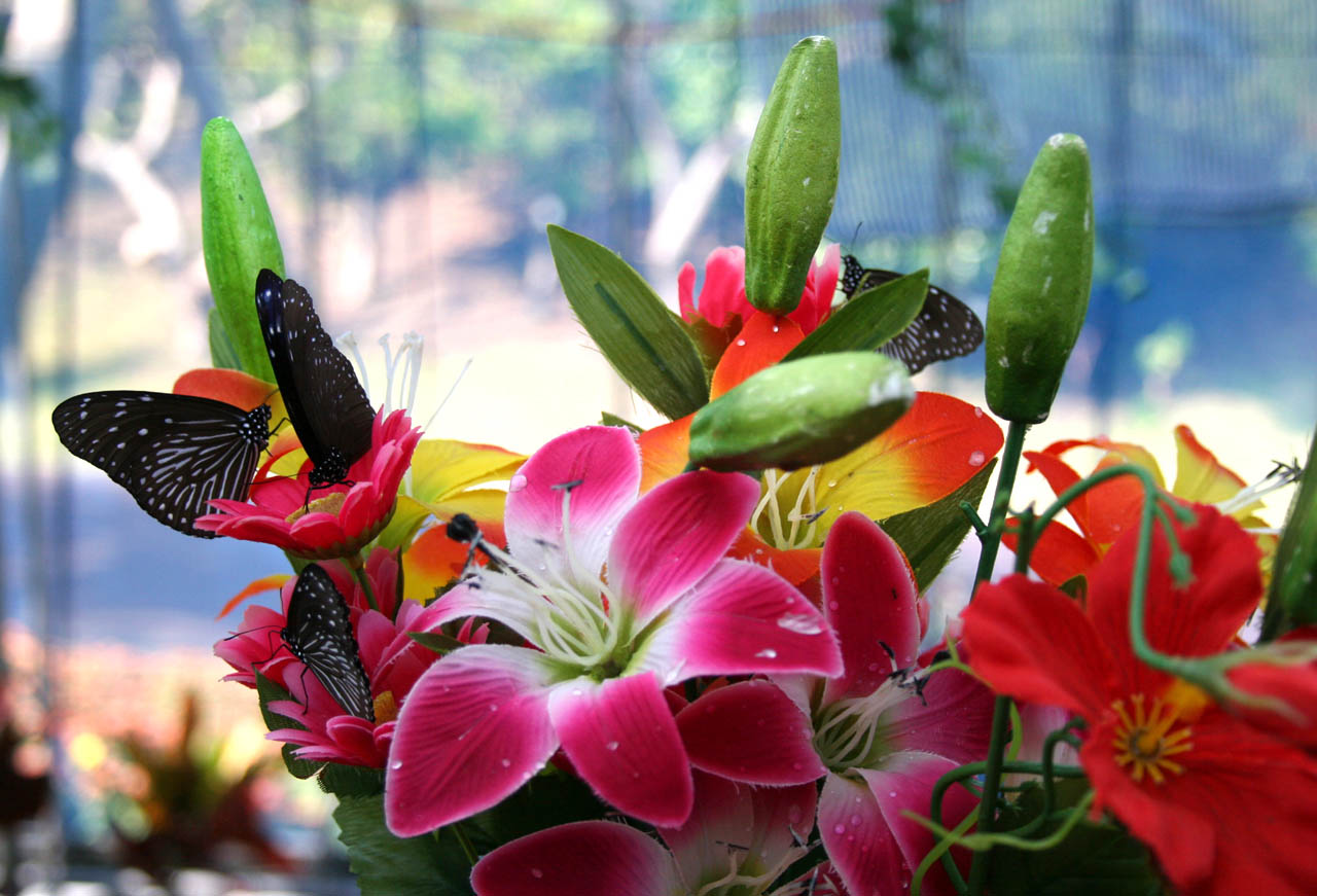 ���X(����2)