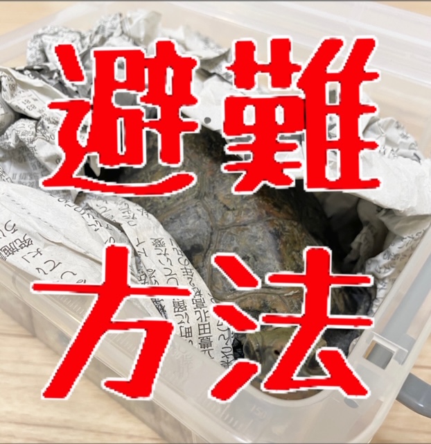 TENKƁAnkЊQɈꏏɔ@