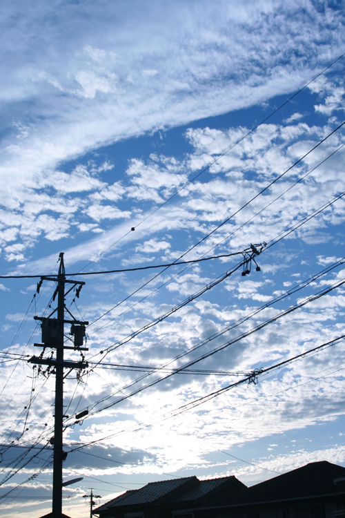 ���A�X���Ŗڂɗ��܂������Ȃǂ��B���Ă݂܂���