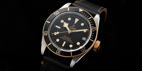 �`���[�_�[�u�w���e�[�W�u���b�N�x�C�v�����v�t�@���𖣗����闝�R