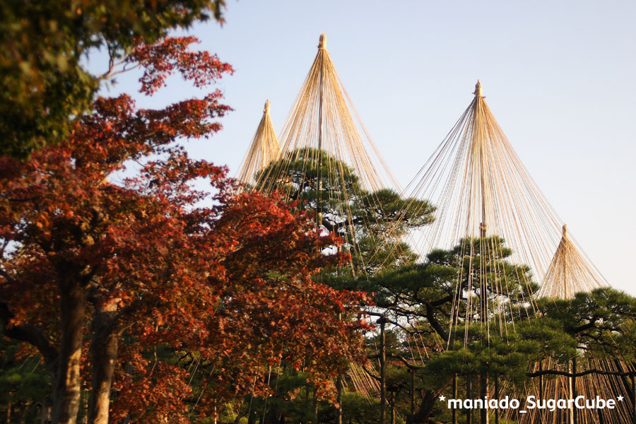 ���s�ʐ^�q�����01�r