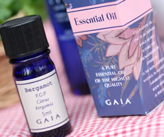 �A���}�̊�{