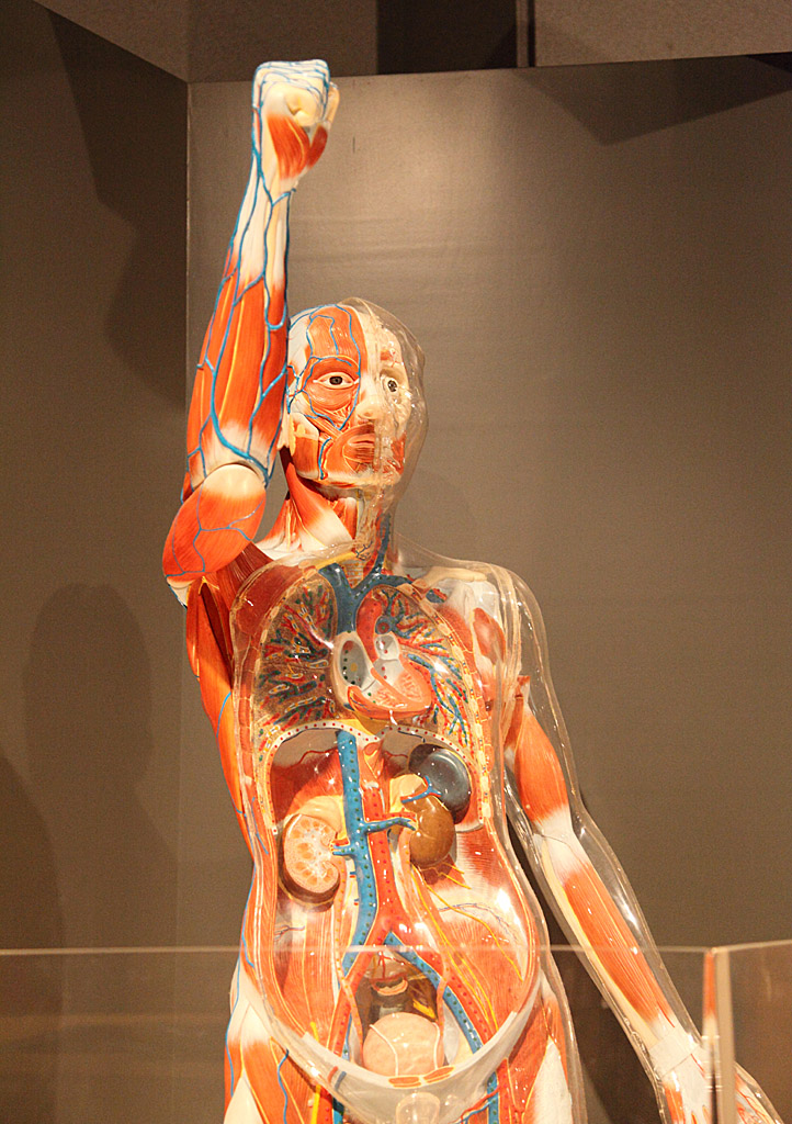 ���[�O���V���[�Y�i�Ȋw�ٌ�ҁj