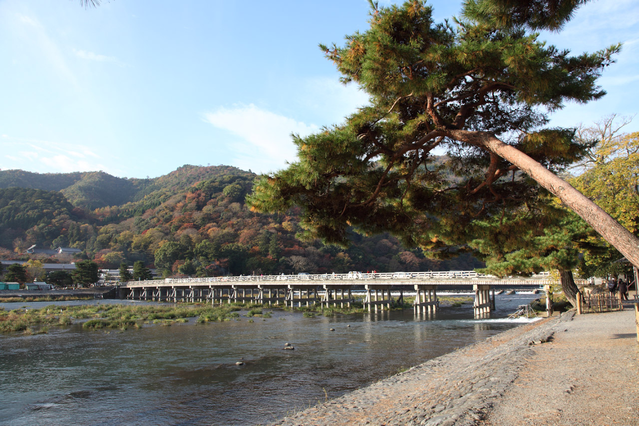 ���s�ҍŏI��i�v�����[�O�j