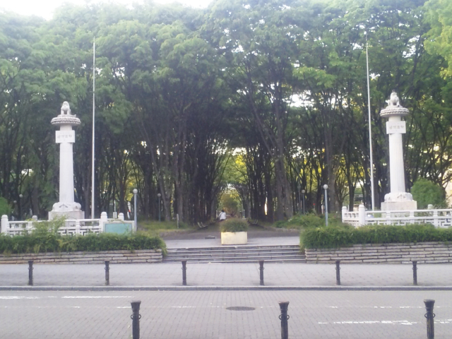 �s��̃I�A�V�X