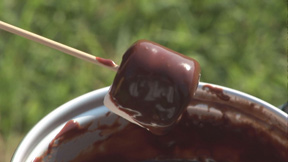 �A�E�g�h�A���ɂ߂�I�o�[�x�L���[���y���ށI  �u�܂Ɂ��c�n�I�v�@8��25���\��