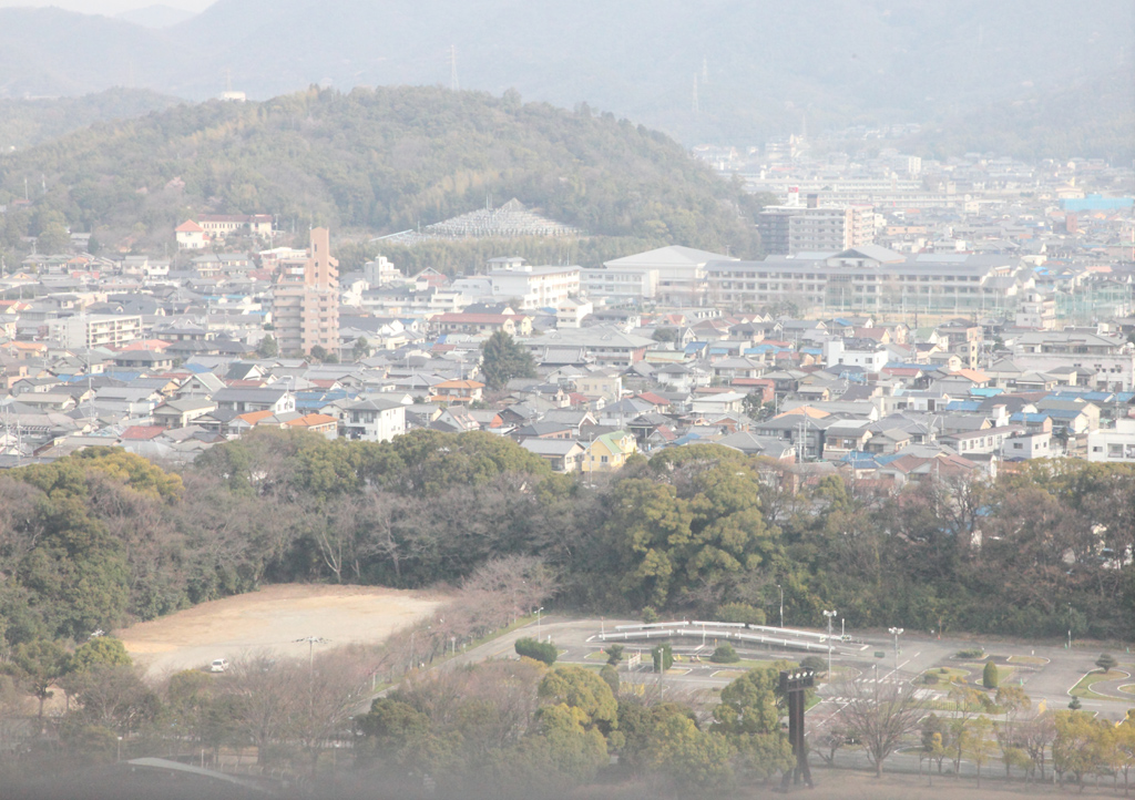 �P�H��{��6