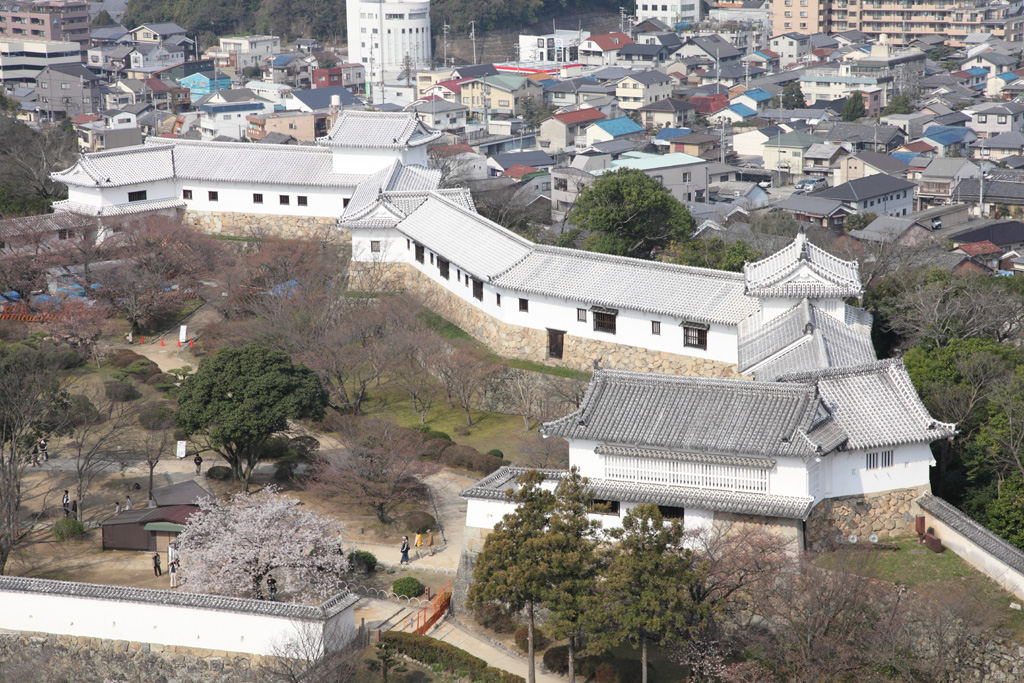 �P�H��{��8