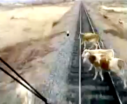 �����񂪎��X�Ɠd�Ԃ�瀂���Ă����Ռ��f��