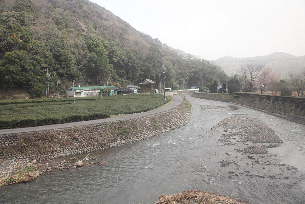 ����S����5