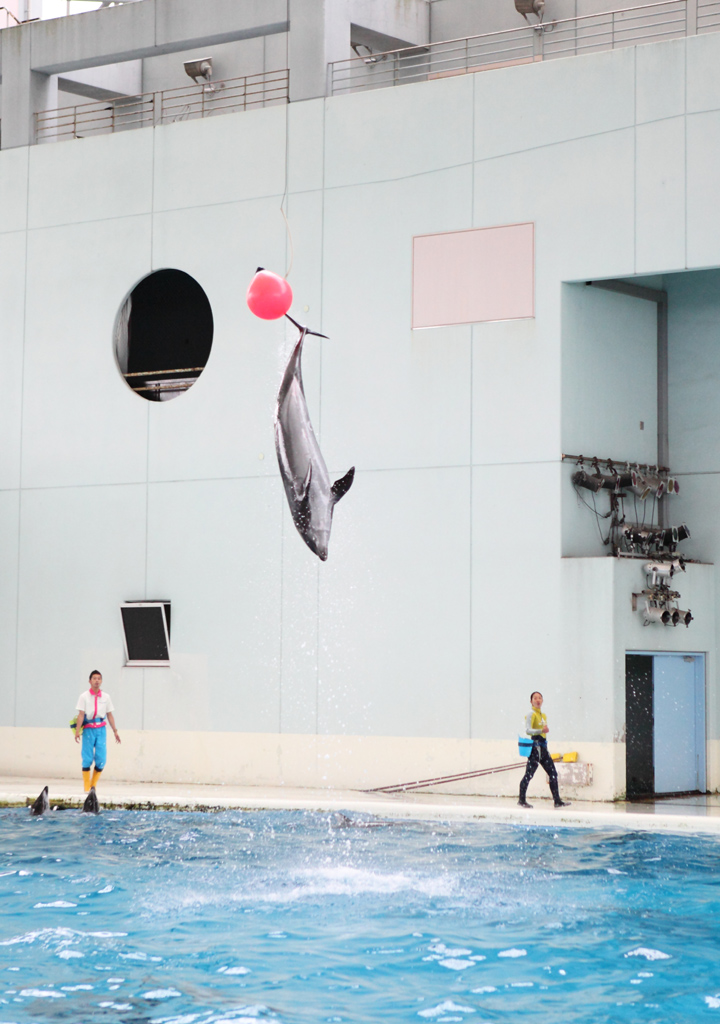 ���i���V�[�p���_�C�X�U