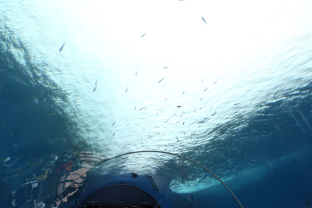 ���i���V�[�p���_�C�X�V