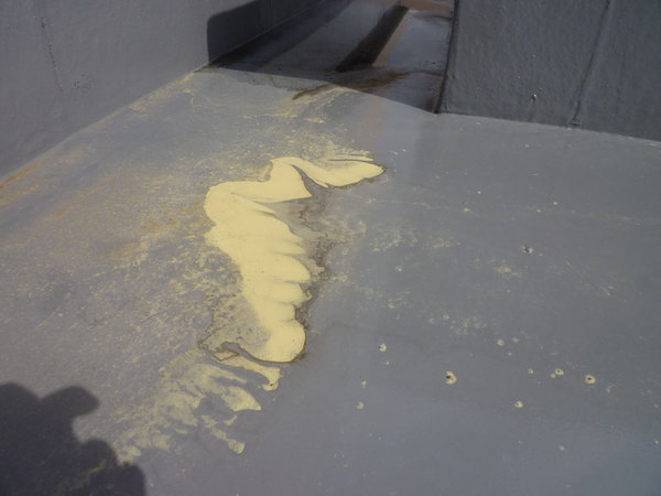 N̉ԕǂ͂ꂮ炢̂IǏƉ摜ŒmUʁI