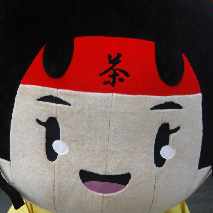 �����X�����