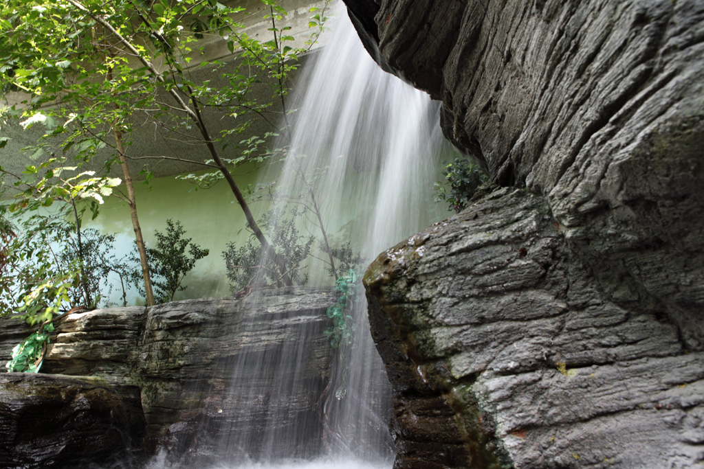 ����Ȏʐ^�B���Ă݂悤�w��x