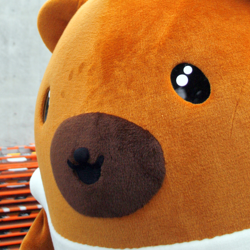 �����܂����܁[