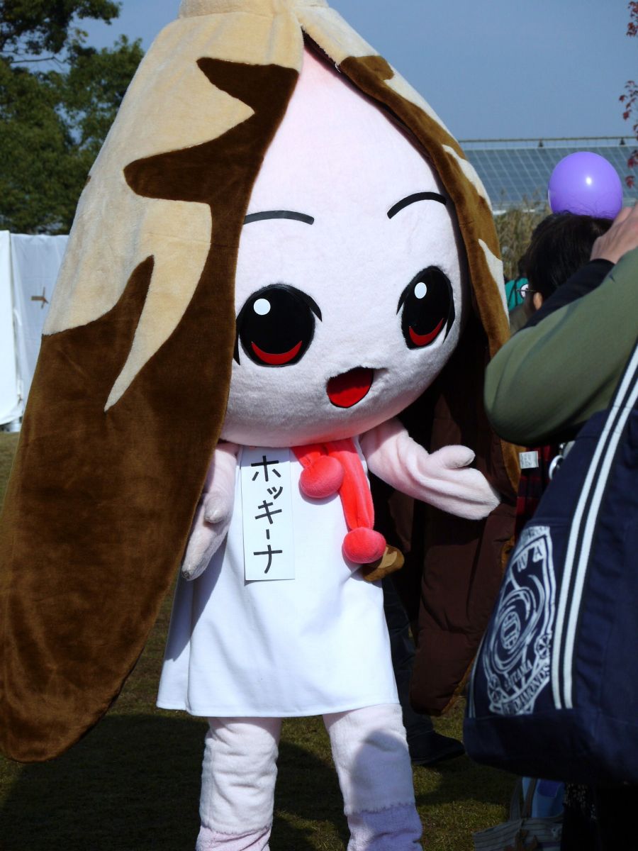 �z�b�L�[�i