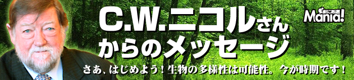 C.W.�j�R�����񂩂�̃��b�Z�[�W �����A�͂��߂悤�I�����̑��l���͉\���B���������ł��I